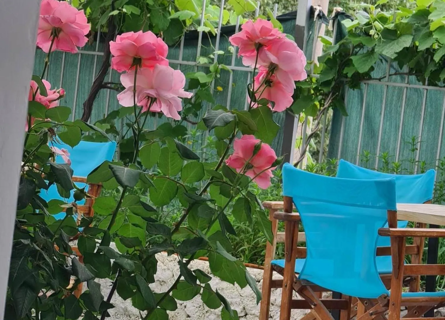 Salt Life Hotel Dhermi Guest house